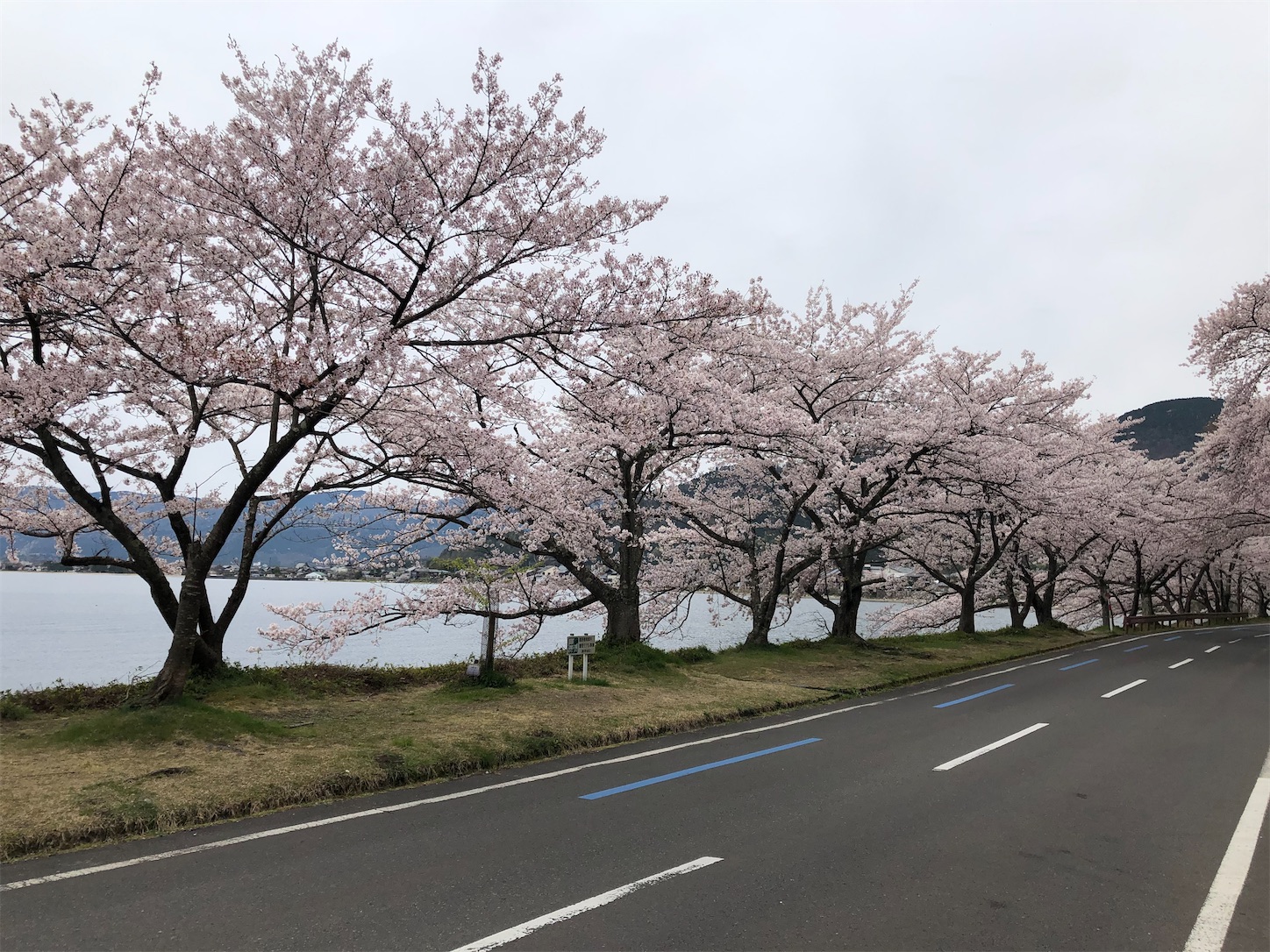 f:id:fujihirokun:20200412193920j:image
