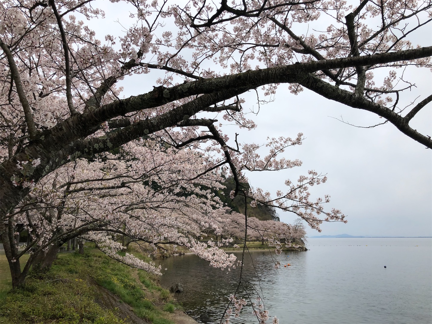 f:id:fujihirokun:20200412193925j:image