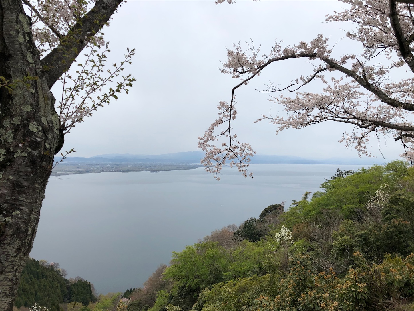 f:id:fujihirokun:20200412193931j:image