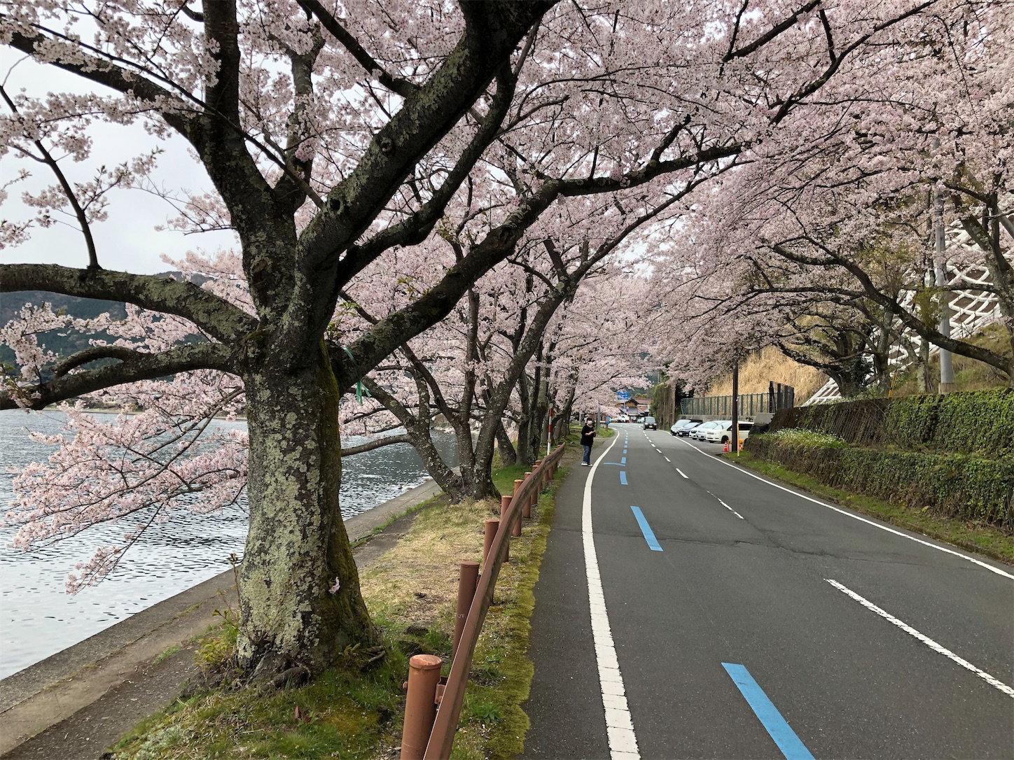 f:id:fujihirokun:20200412194211j:image