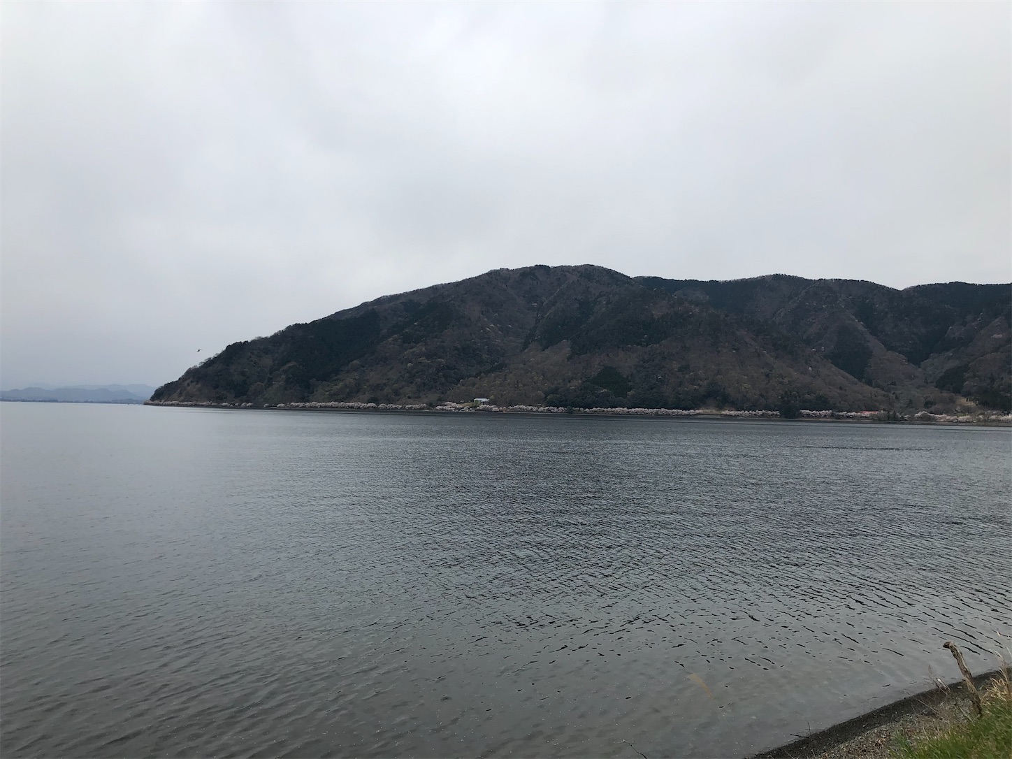 f:id:fujihirokun:20200412194524j:image