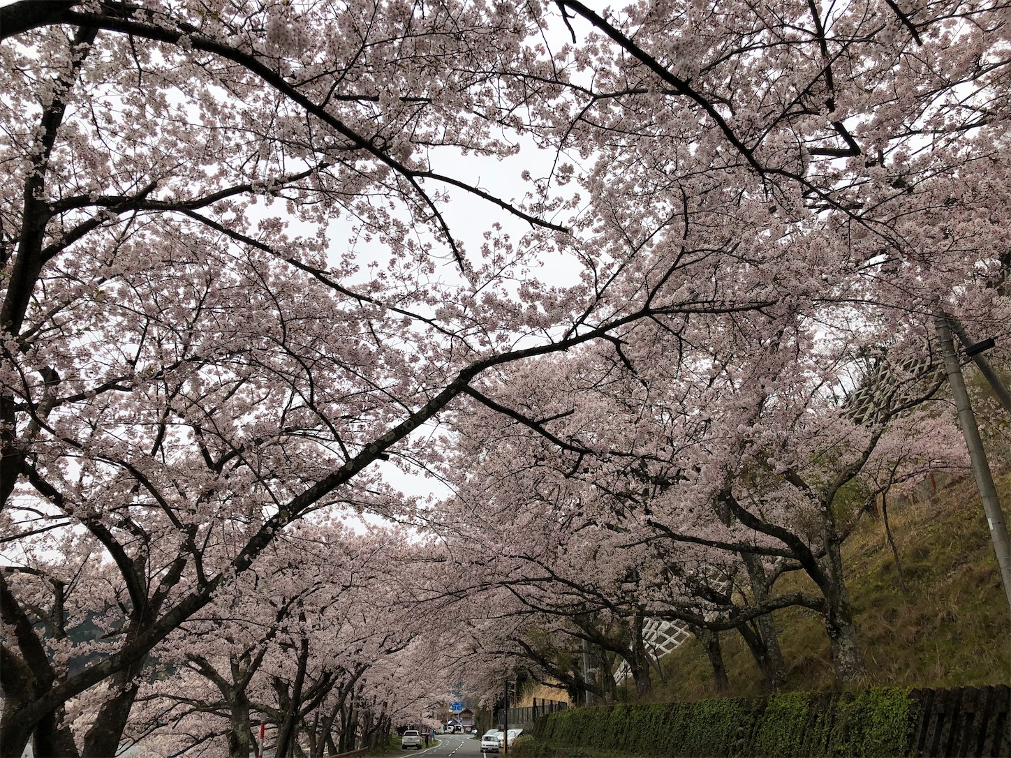 f:id:fujihirokun:20200412195432j:image