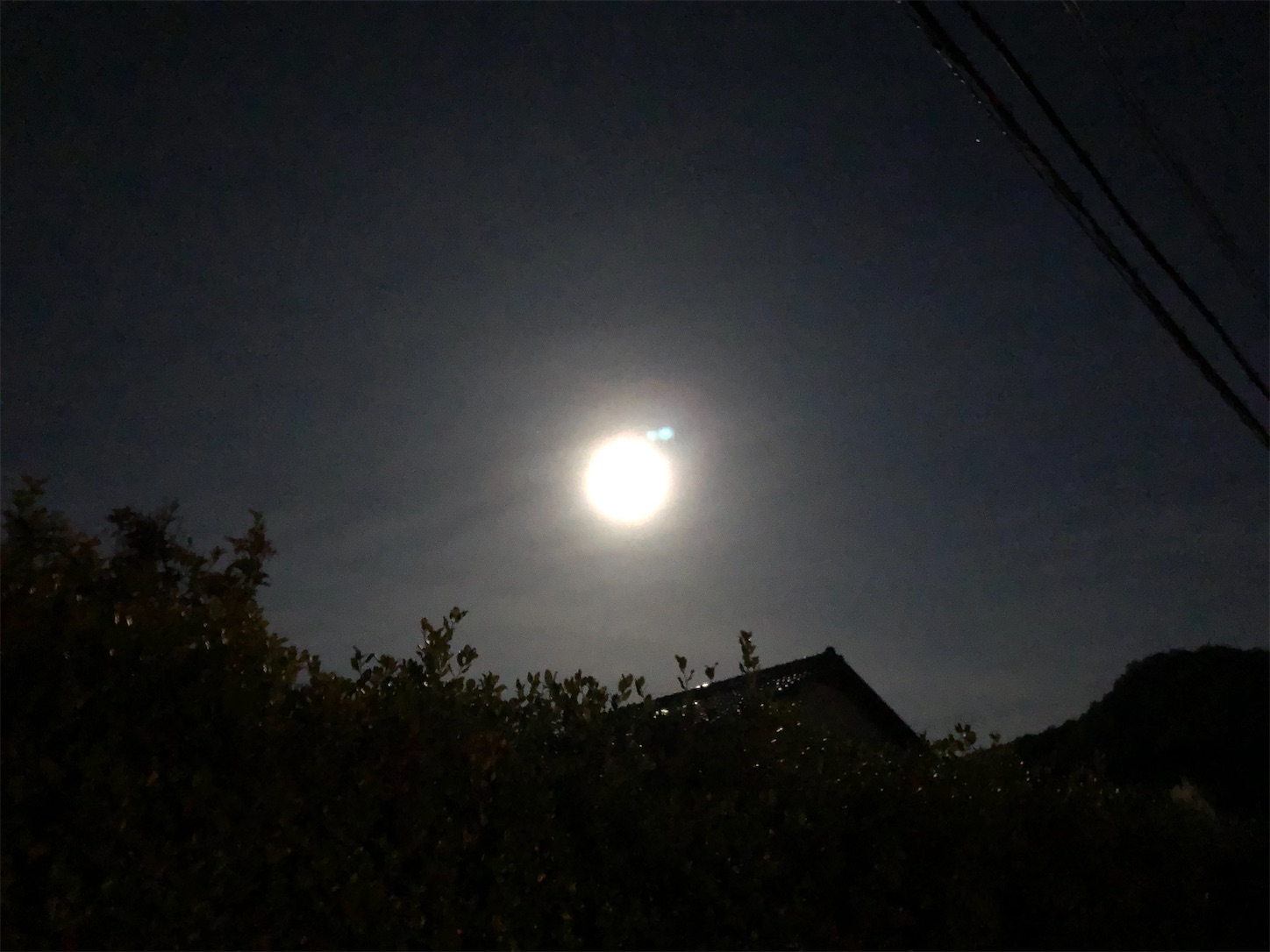 f:id:fujihirokun:20200508062903j:image f:id:fujihirokun:20200508062903j:image