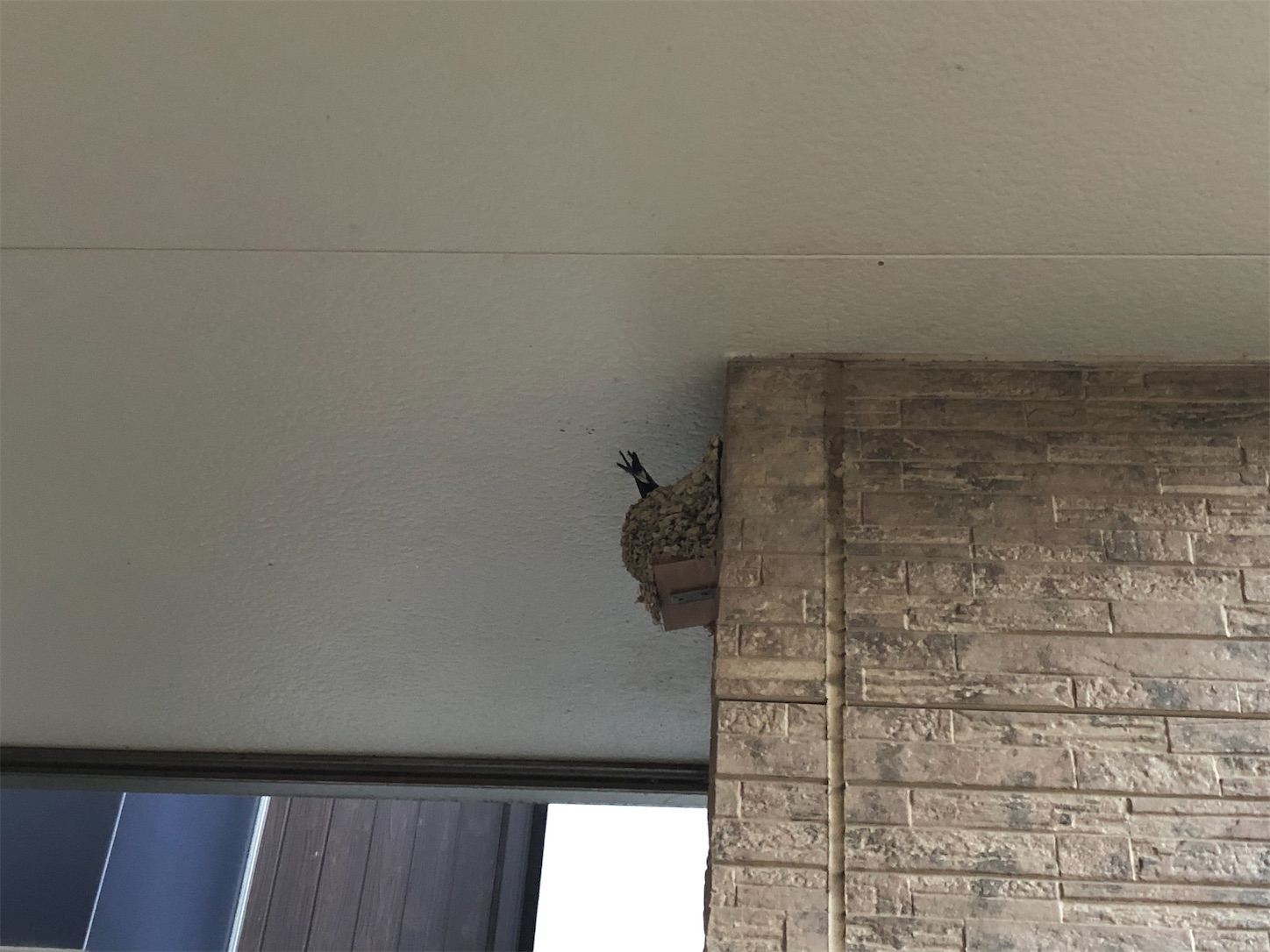 f:id:fujihirokun:20200607045309j:image f:id:fujihirokun:20200607045309j:image