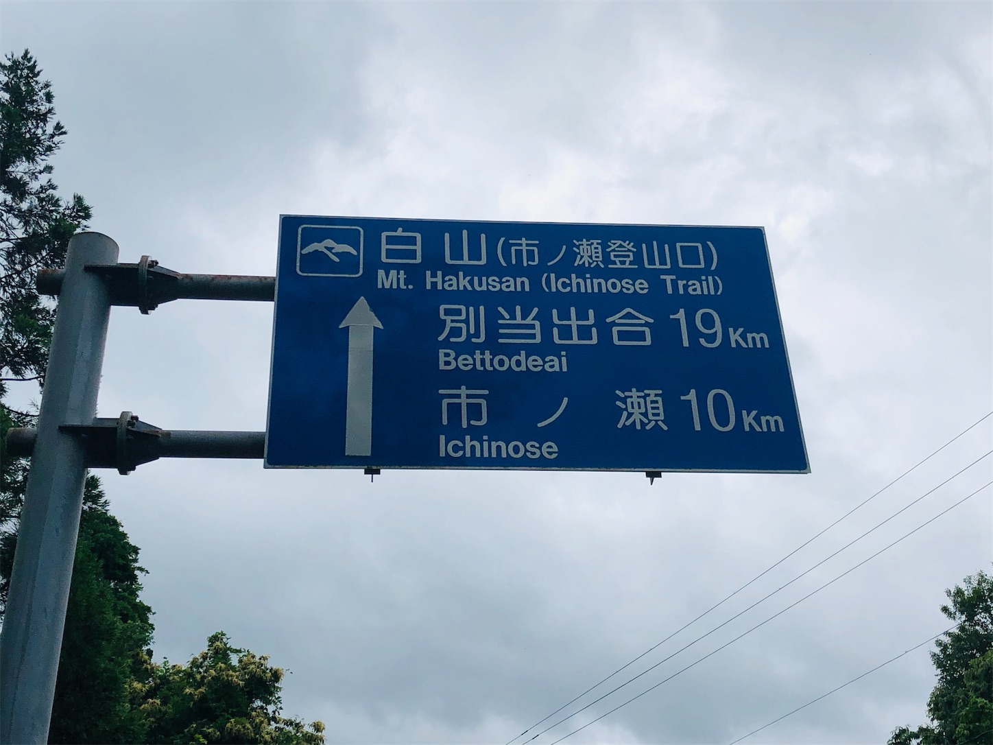 f:id:fujihirokun:20200705231549j:plain f:id:fujihirokun:20200705231549j:plain