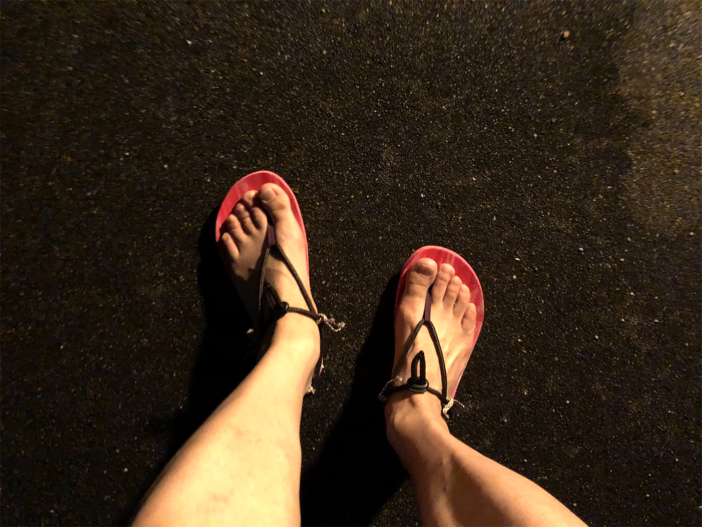 f:id:fujihirokun:20200716012852j:plain f:id:fujihirokun:20200716012852j:plain
