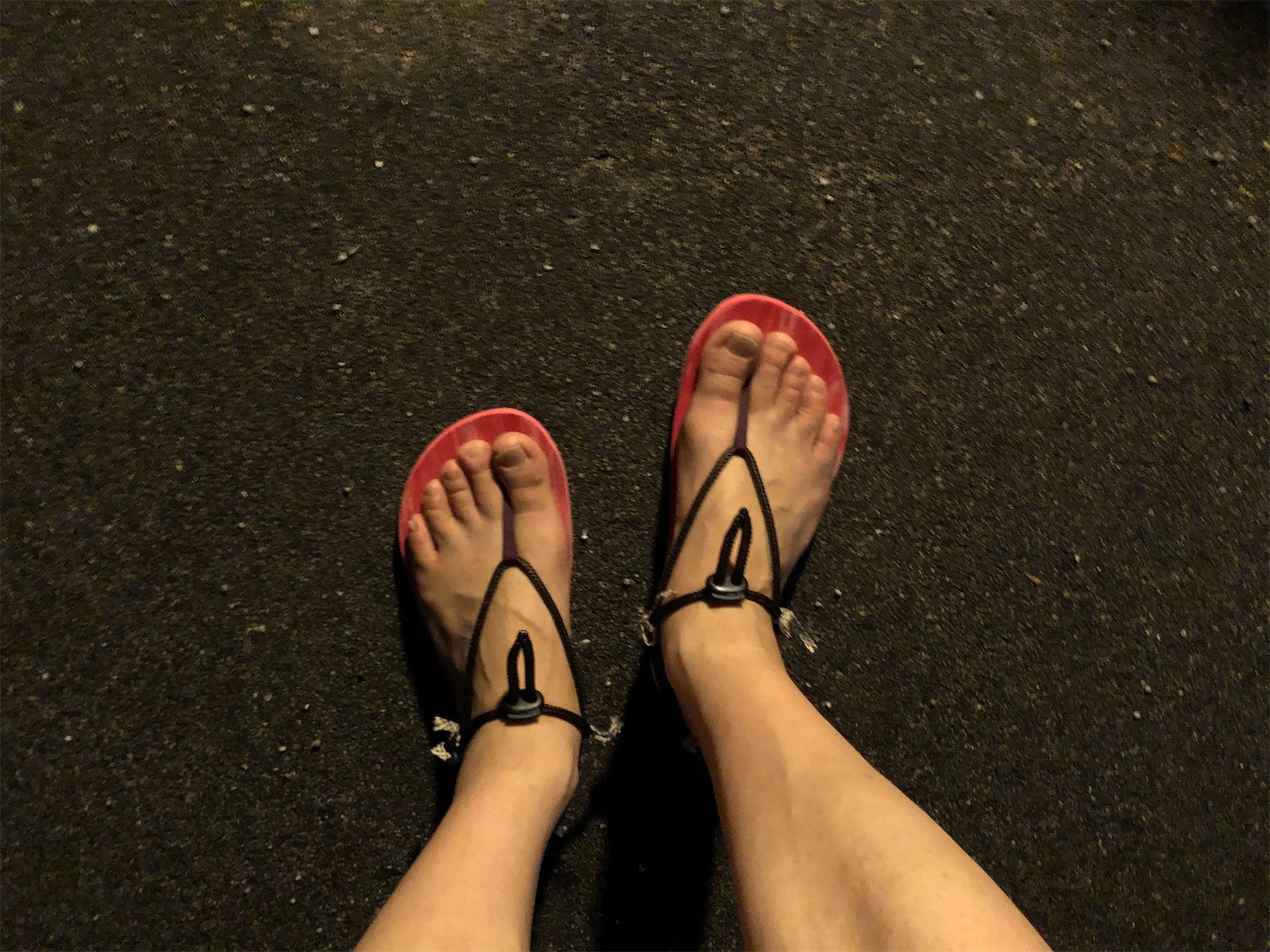 f:id:fujihirokun:20200718022856j:plain