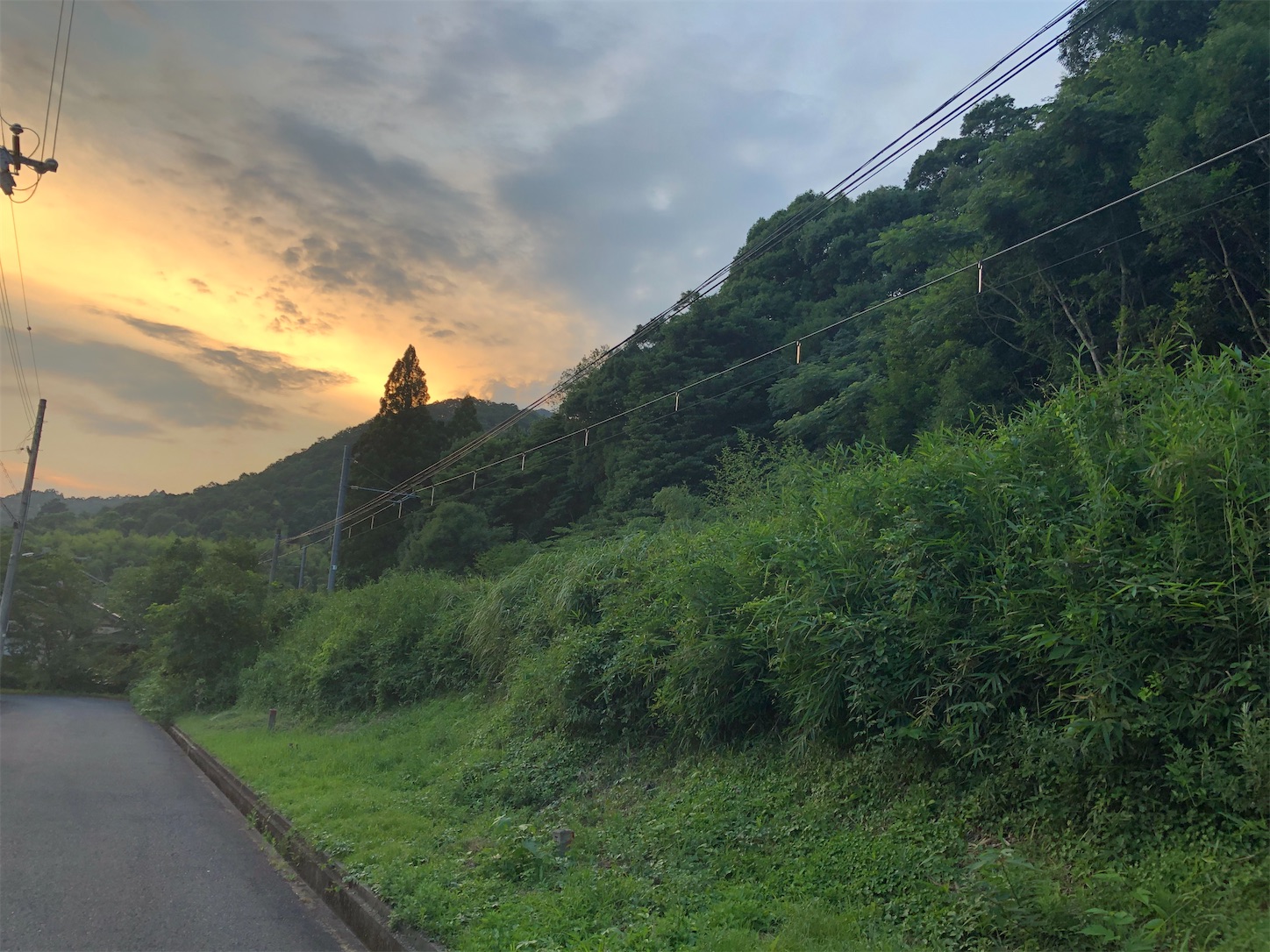 f:id:fujihirokun:20200720005730j:plain