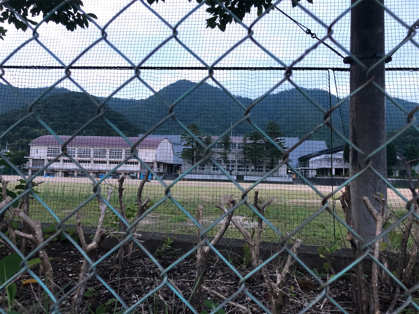 f:id:fujihirokun:20200720010744j:plain