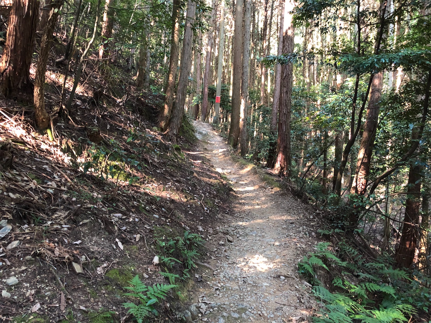 f:id:fujihirokun:20200830001218j:plain