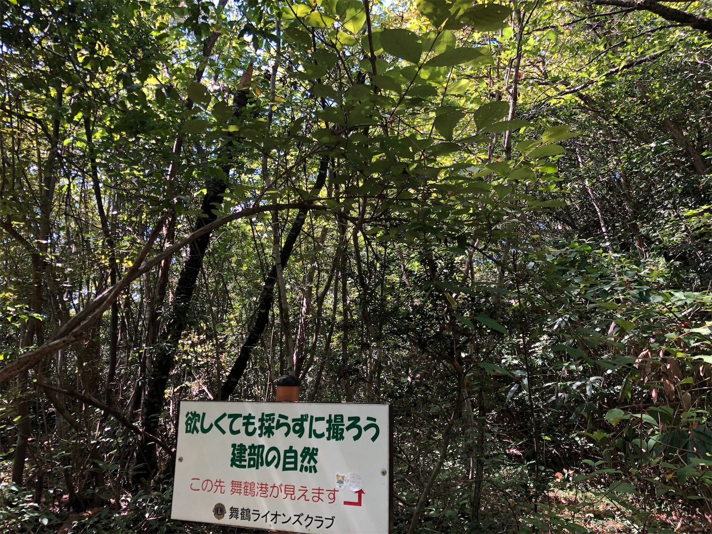 f:id:fujihirokun:20200830205732j:plain f:id:fujihirokun:20200830205732j:plain