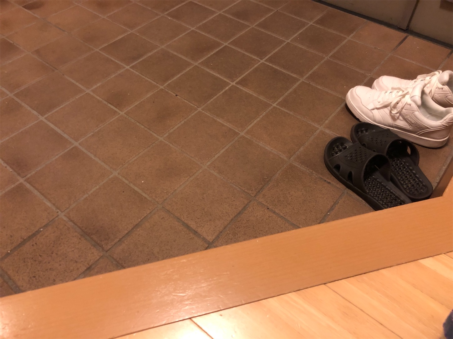 f:id:fujihirokun:20201006042248j:plain