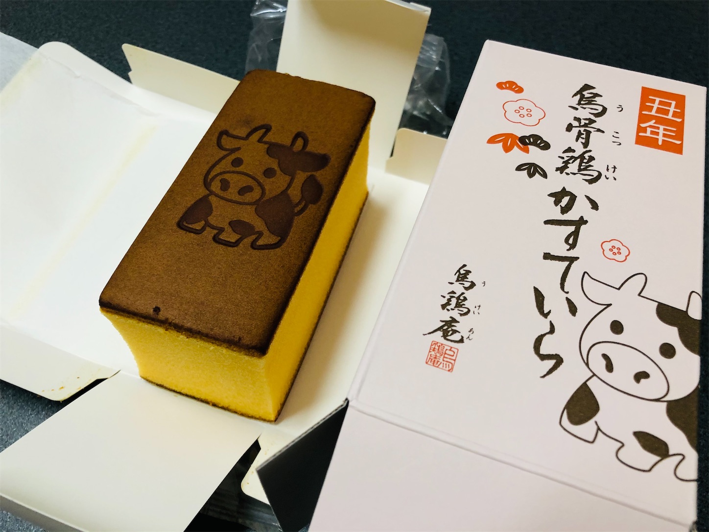 f:id:fujihirokun:20210107061349j:plain