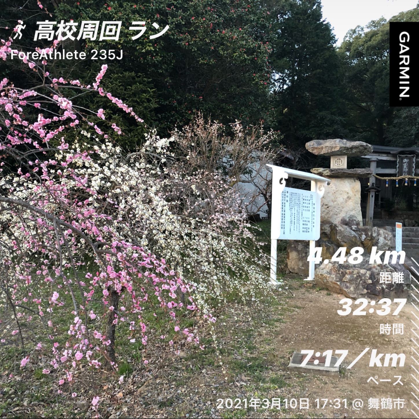 f:id:fujihirokun:20210311024710j:plain