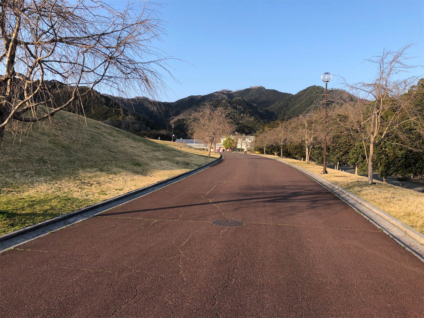 f:id:fujihirokun:20210315053858j:plain