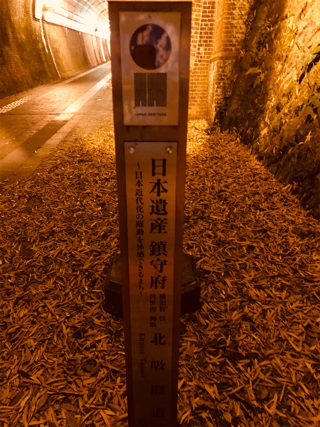 f:id:fujihirokun:20210511235727j:plain