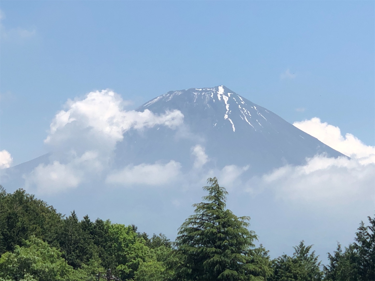 f:id:fujihirokun:20210531054552j:plain