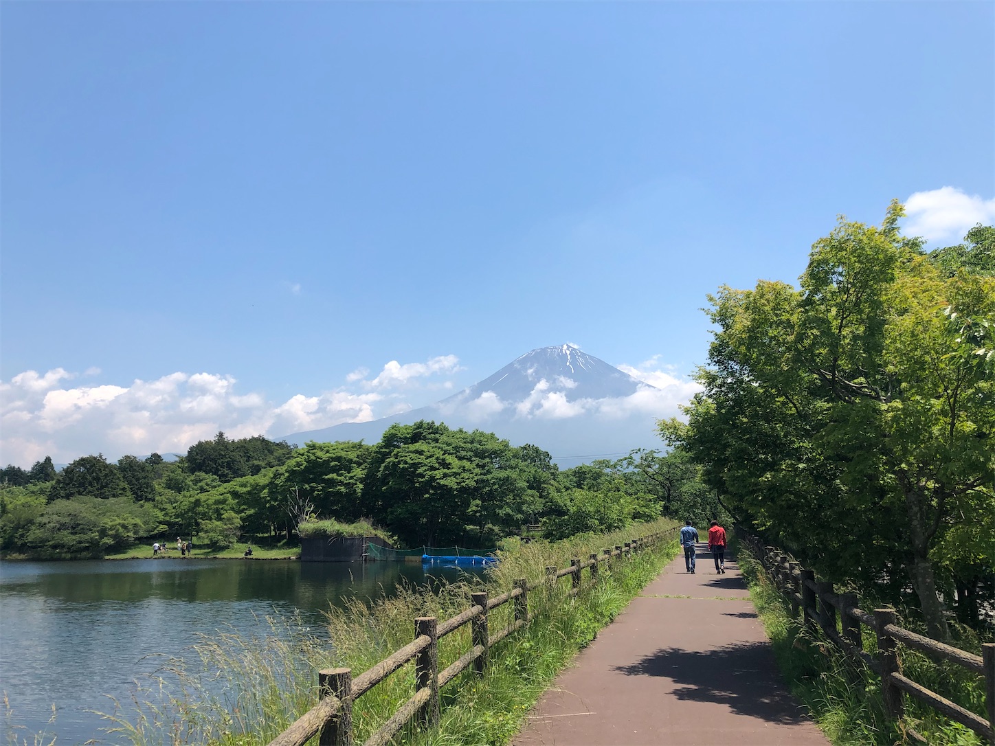 f:id:fujihirokun:20210601060722j:plain
