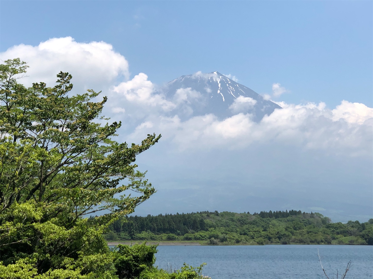 f:id:fujihirokun:20210601060728j:plain