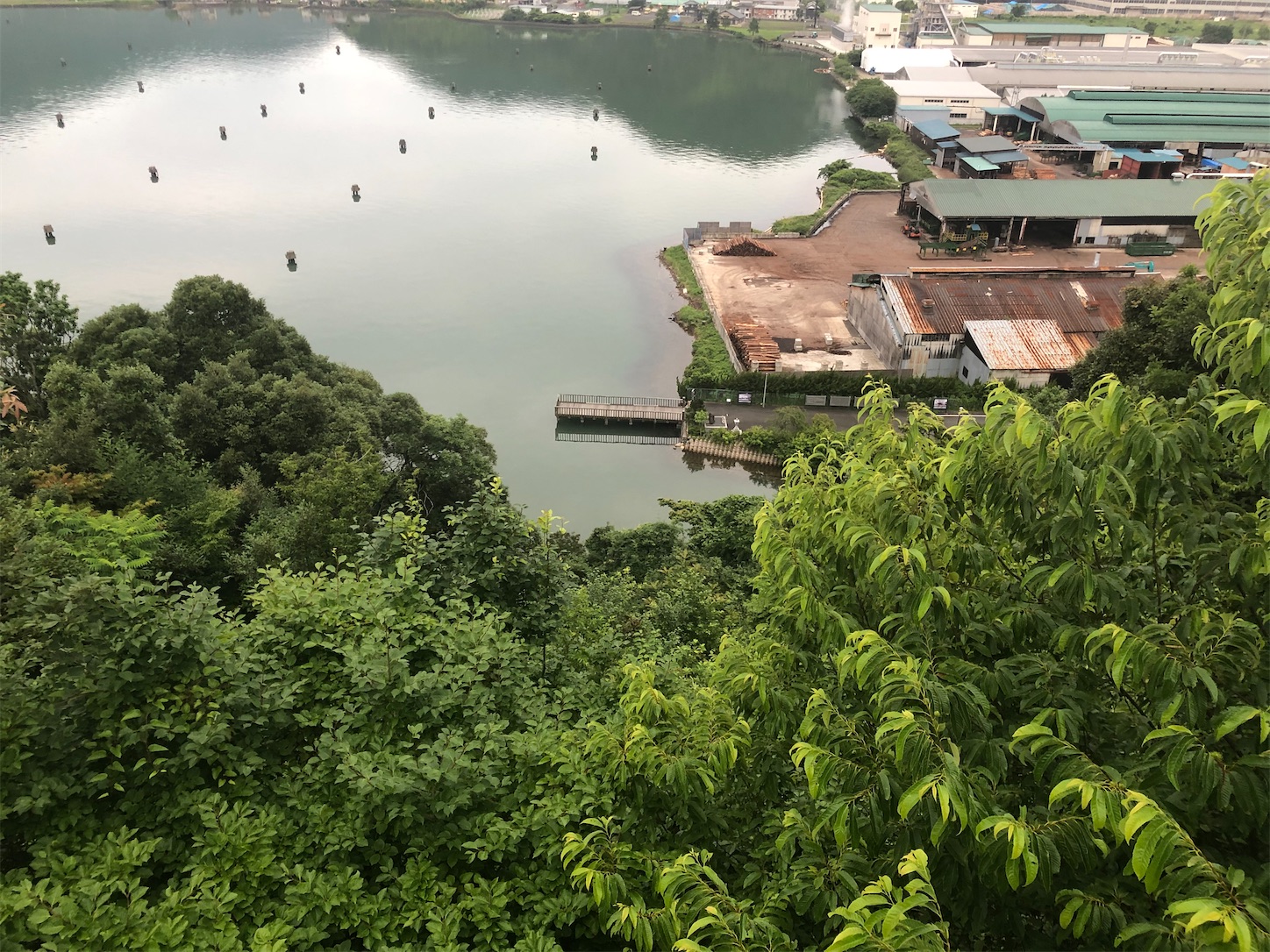 f:id:fujihirokun:20210628054153j:plain