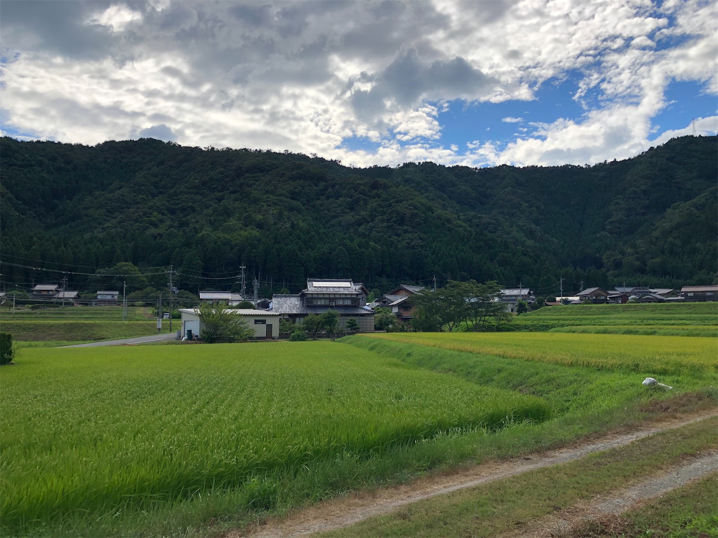 f:id:fujihirokun:20210806232246j:plain