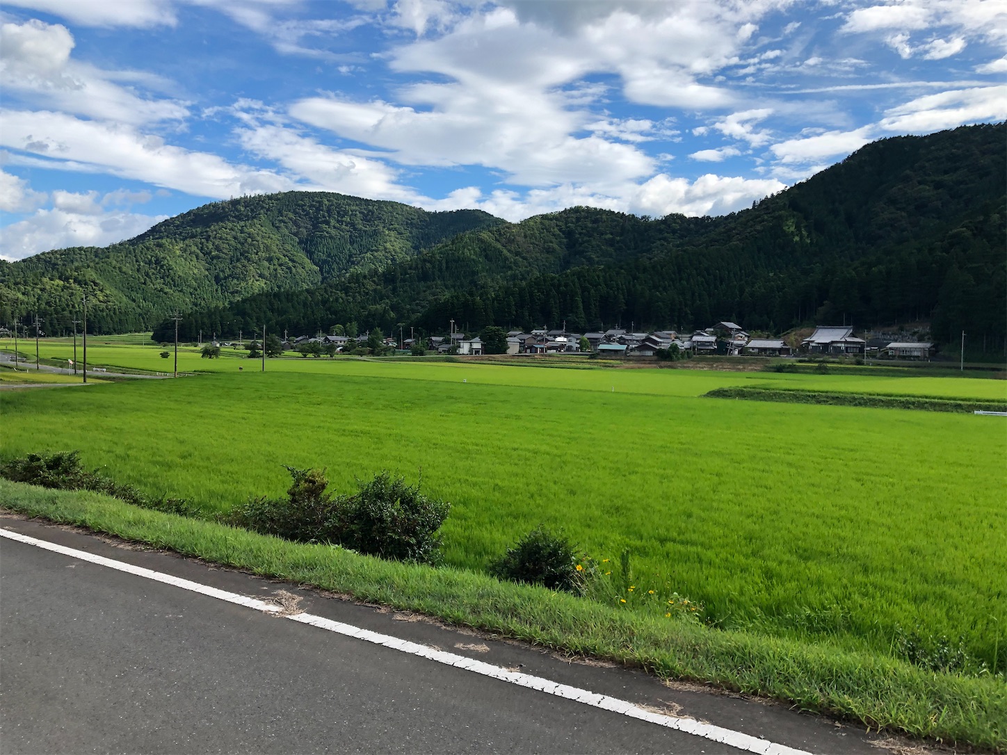 f:id:fujihirokun:20210806232254j:plain
