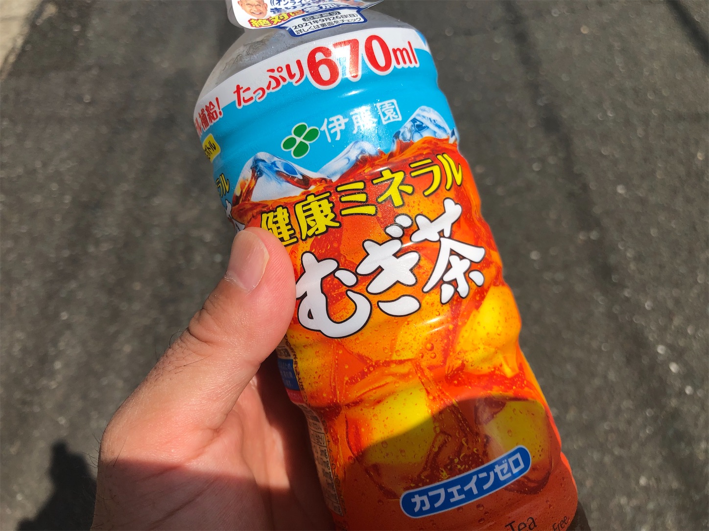f:id:fujihirokun:20210823020511j:plain