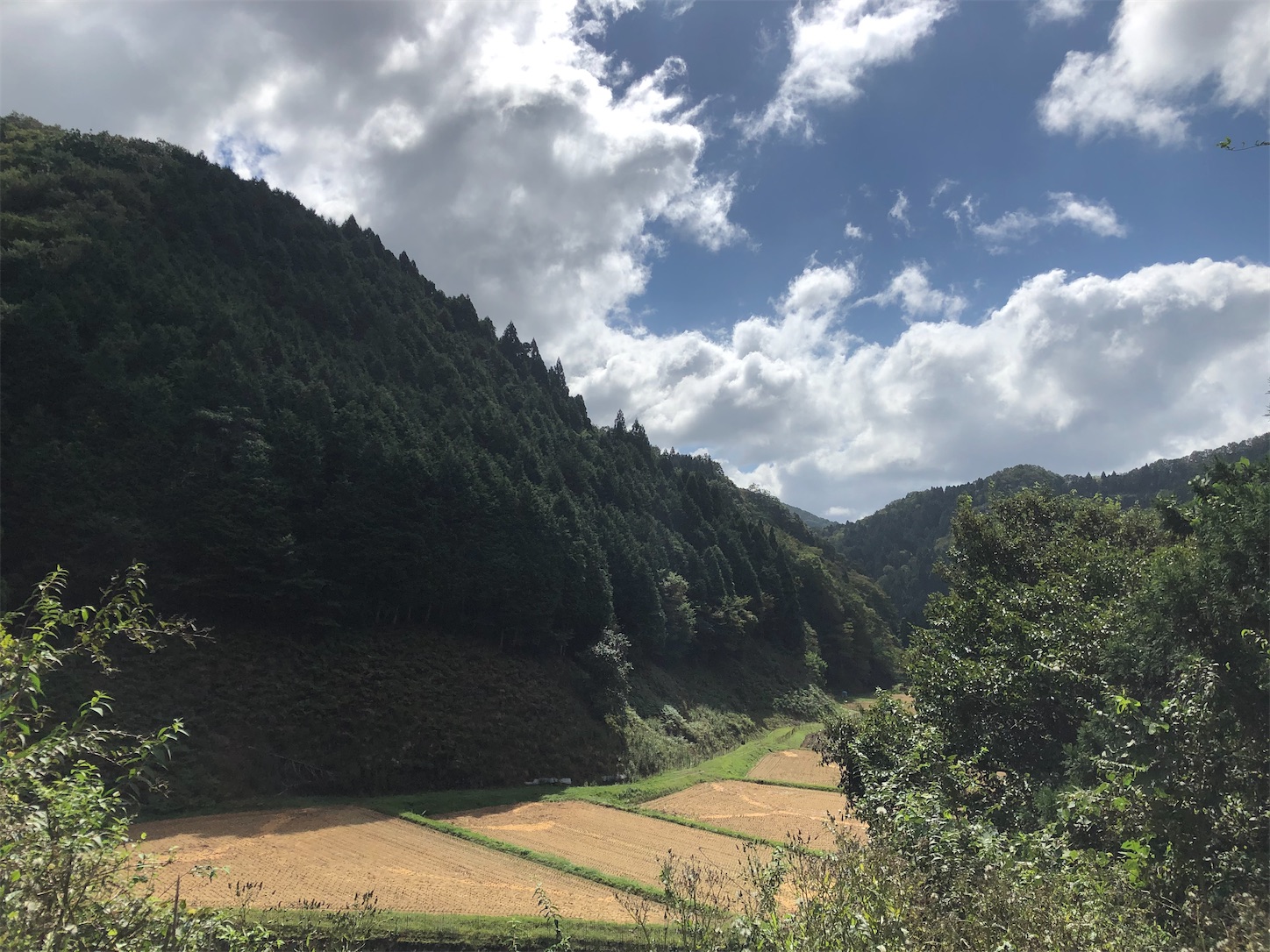 f:id:fujihirokun:20210920002803j:plain