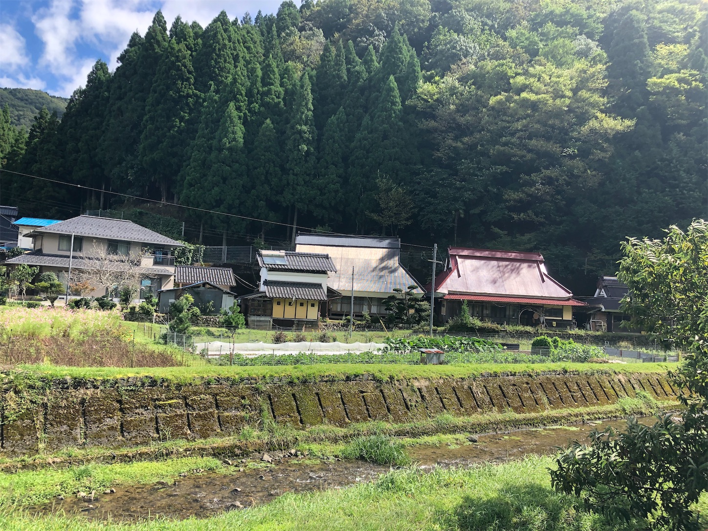 f:id:fujihirokun:20210920002812j:plain