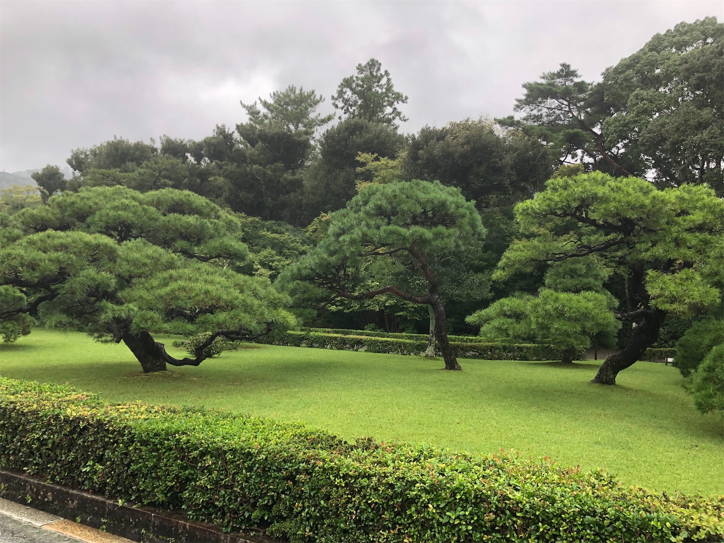 f:id:fujihirokun:20210927053050j:plain