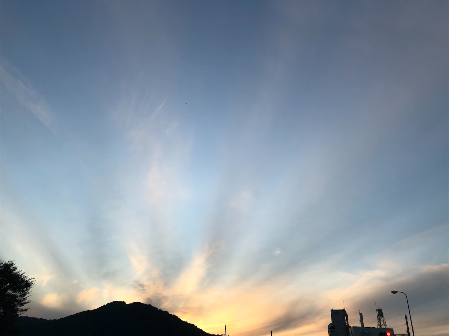 f:id:fujihirokun:20211025005133j:plain