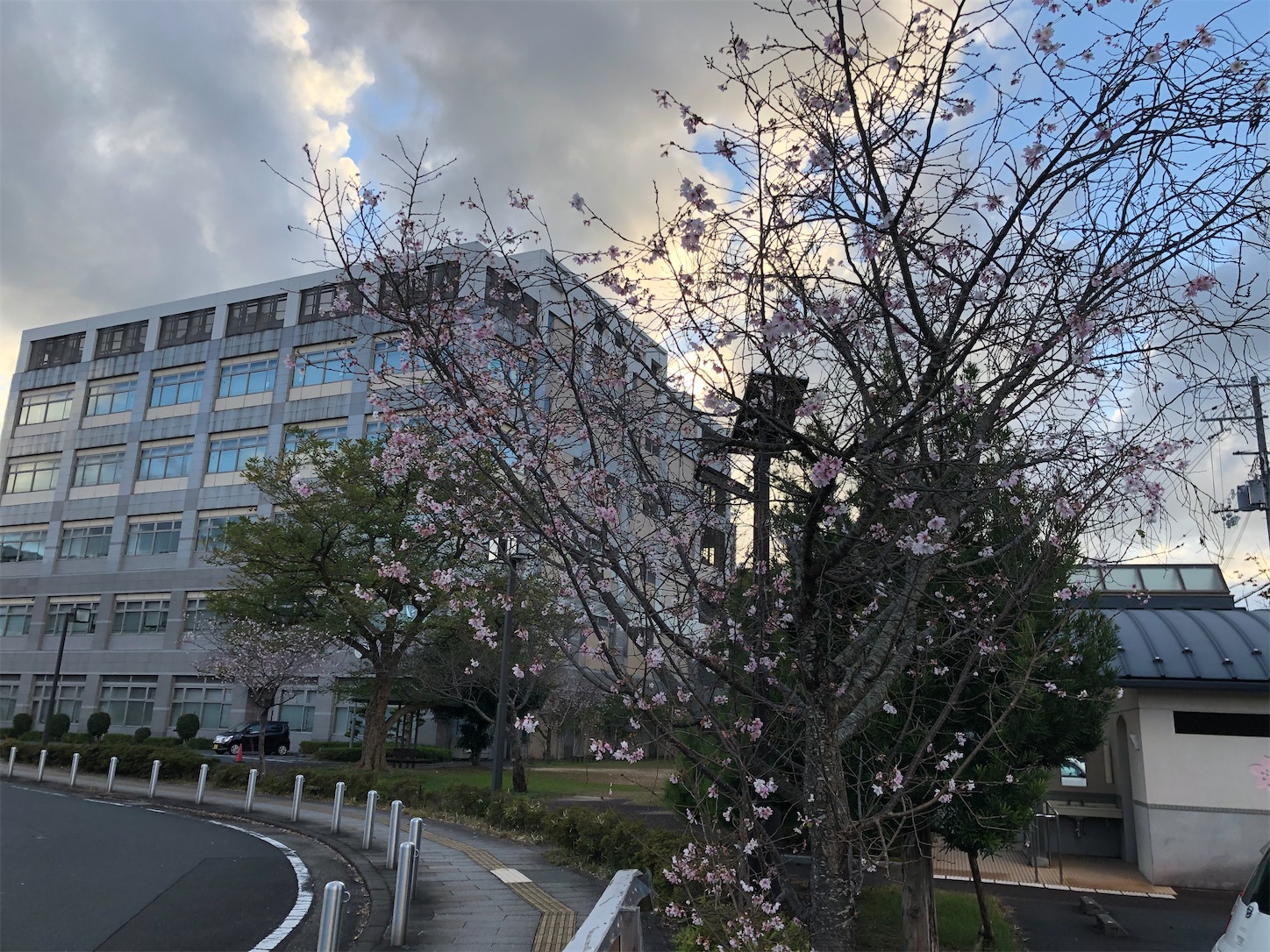 f:id:fujihirokun:20211104053917j:plain