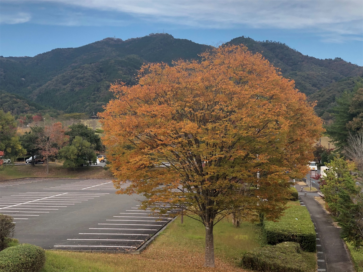 f:id:fujihirokun:20211107050235j:plain