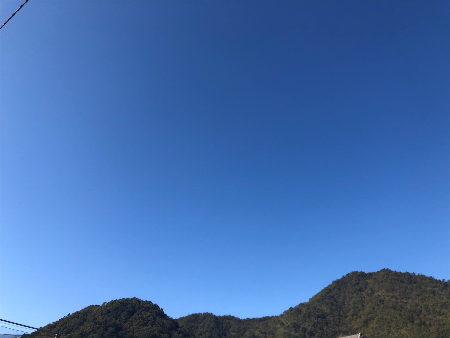 f:id:fujihirokun:20211108051940j:plain