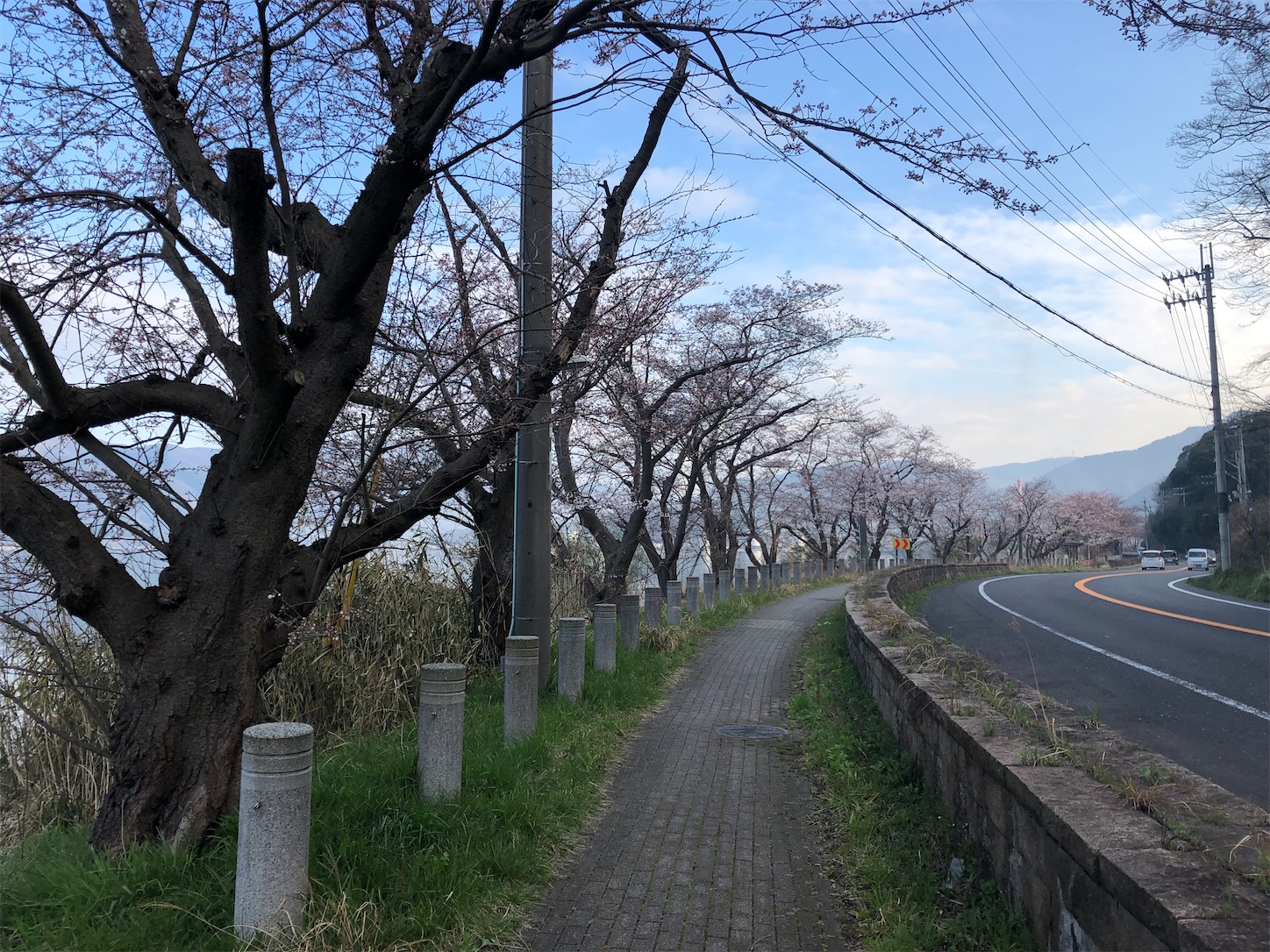 f:id:fujihirokun:20220404052815j:plain