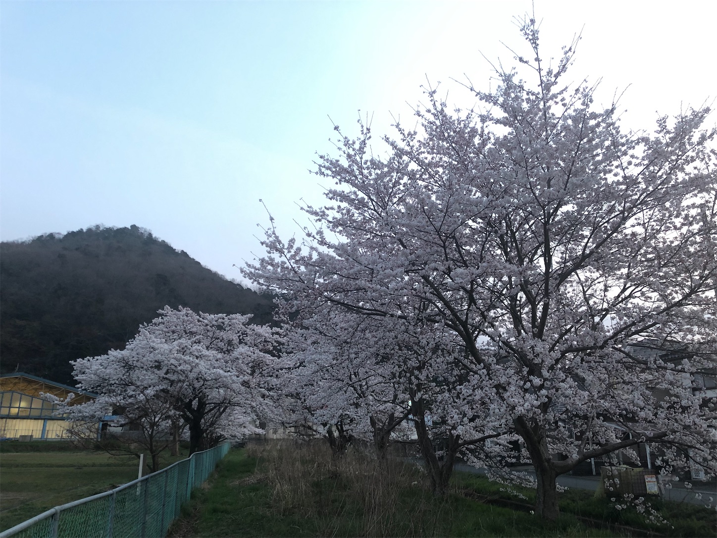 f:id:fujihirokun:20220407053250j:plain