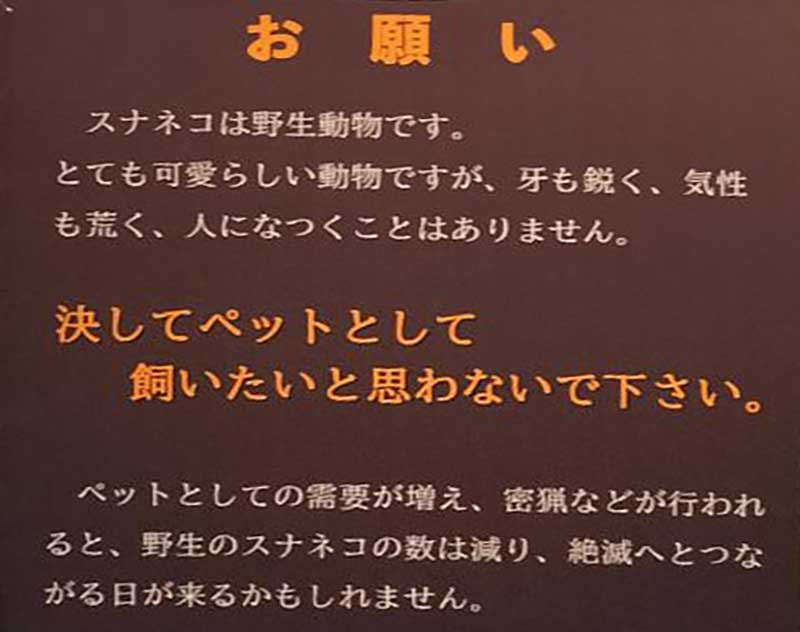 お願いポスター写真