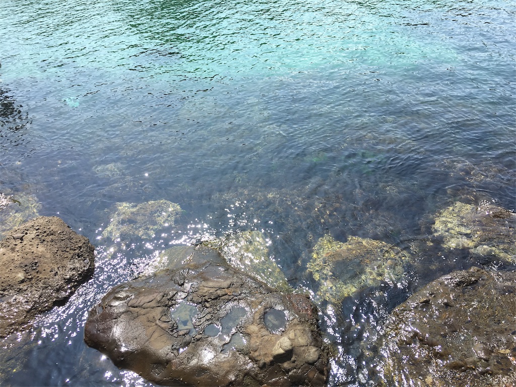 f:id:fujiidesu1013:20170730204737j:image f:id:fujiidesu1013:20170730204737j:image