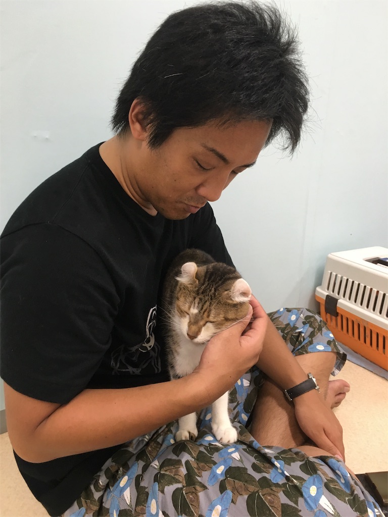 f:id:fujiidesu1013:20170804221348j:image f:id:fujiidesu1013:20170804221348j:image