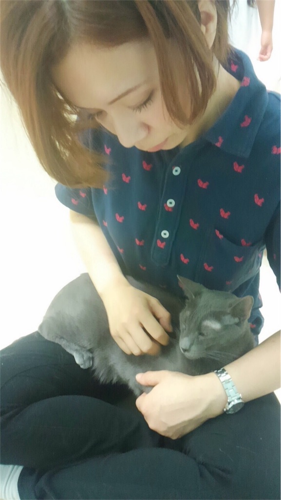 f:id:fujiidesu1013:20170804221350j:image f:id:fujiidesu1013:20170804221350j:image