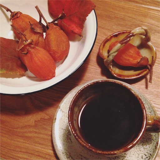 f:id:fujikana:20161109172421j:image