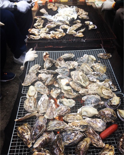 f:id:fujikana:20170131211532j:image