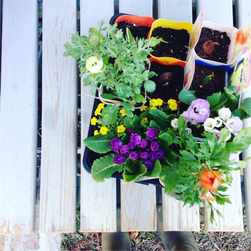 f:id:fujikana:20170215172431j:image