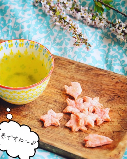 f:id:fujikana:20170408021514j:image