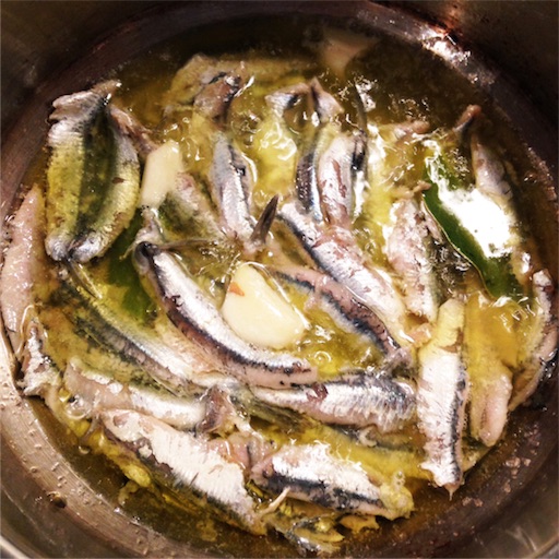 f:id:fujikana:20170528211732j:image