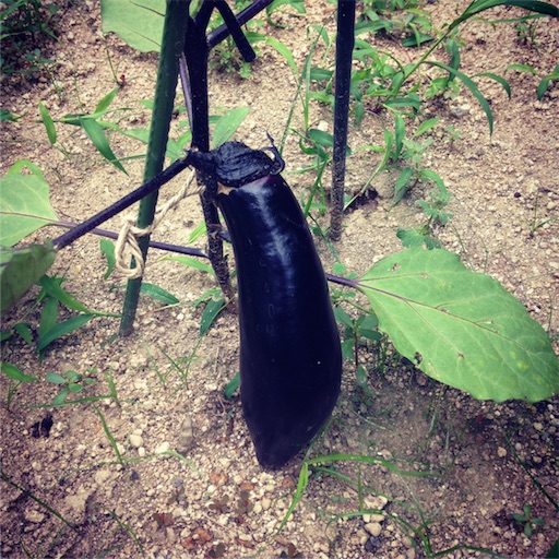 f:id:fujikana:20170615165911j:image