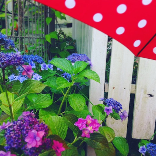 f:id:fujikana:20170624181730j:image