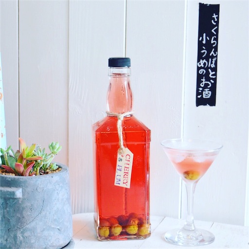 f:id:fujikana:20170630174633j:image