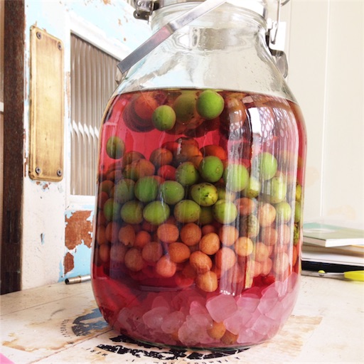 f:id:fujikana:20170630174757j:image