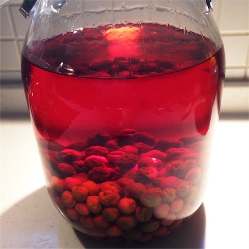 f:id:fujikana:20170630174809j:image